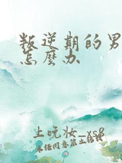 叛逆期的男孩子怎么办