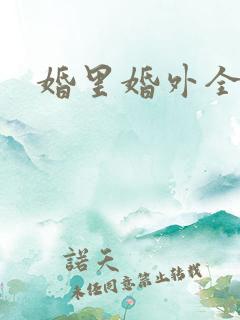 婚里婚外全集