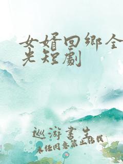 女婿回乡全村风光短剧