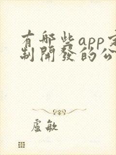 有哪些app定制开发的公司