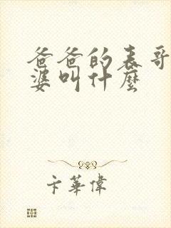 爸爸的表哥的老婆叫什么