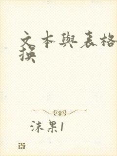 文本与表格的转换