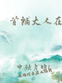 首辅大人在上