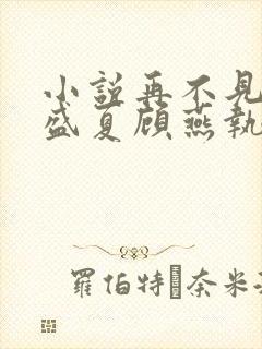 小说再不见那年盛夏顾燕执在线阅读