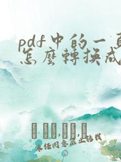 pdf中的一页怎么转换成word