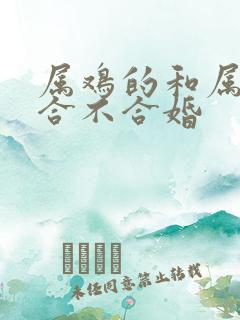 属鸡的和属兔的合不合婚