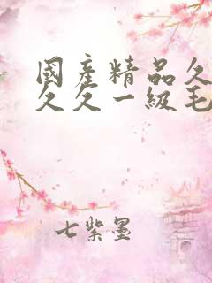 国产精品久久久久久一级毛
