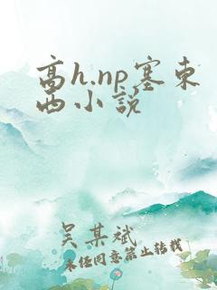 高h.np塞东西小说