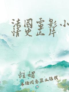 法国电影小唐璜情史正片