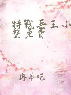 特战兵王小说完整免费