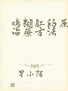 鸡糊肛的原因和治疗方法