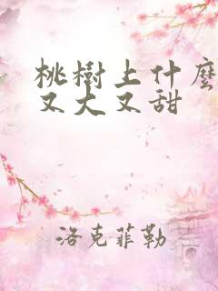 桃树上什么肥料又大又甜
