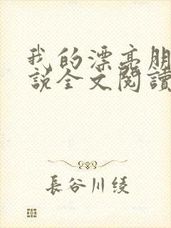 我的漂亮朋友小说全文阅读