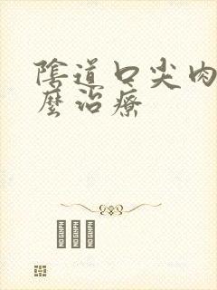 阴道口尖肉疣怎么治疗