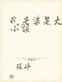 我老婆是大明星小说