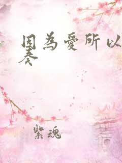 因为爱所以爱伴奏