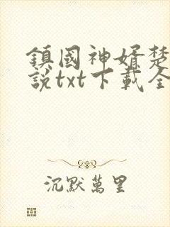 镇国神婿楚尘小说txt下载全文