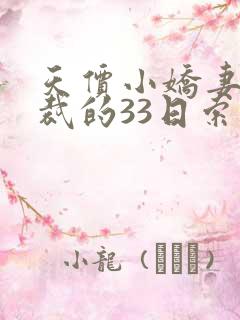 天价小娇妻:总裁的33日索情