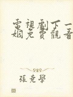 电视剧下一站婚姻免费观看全集高清