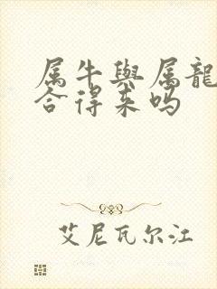 属牛与属龙的人合得来吗
