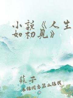 小说《人生若只如初见》