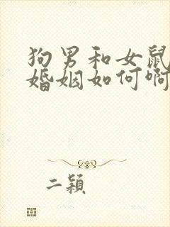 狗男和女鼠相配婚姻如何啊