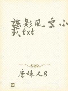 谍影风云小说下载txt