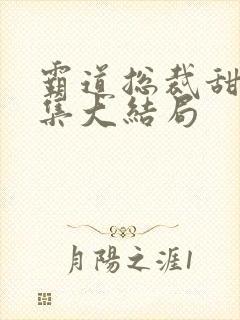 霸道总裁甜宠合集大结局