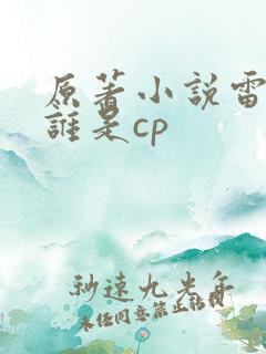 原著小说雷战和谁是cp