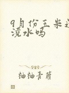 9月份玉米还用浇水吗