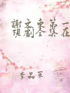 谢文东第一季电视剧全集在线观看高清