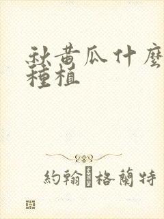秋黄瓜什么时间种植