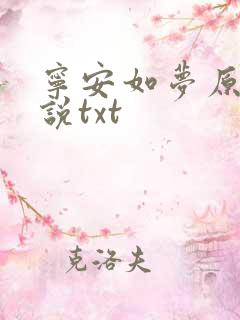 宁安如梦原著小说txt