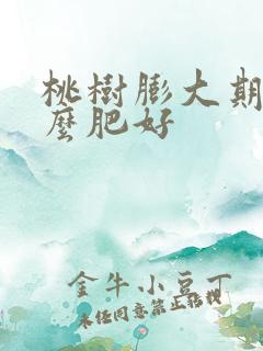 桃树膨大期用什么肥好