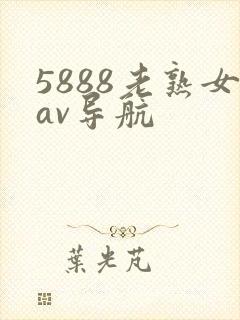 5888老熟女av导航