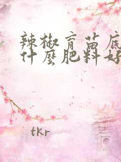 辣椒育苗底肥用什么肥料好