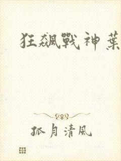 狂飙战神叶无缺