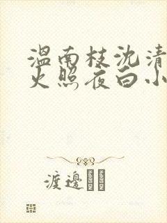 温南枝沈清宴烟火照夜白小说阅读