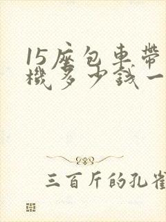 15座包车带司机多少钱一天