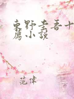 东野圭吾十大推荐小说