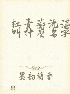 杜青蘅沈湛小说叫什么名字啊