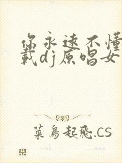 你永远不懂我车载dj原唱女声
