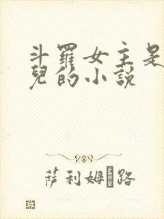 斗罗女主是王秋儿的小说