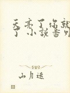 天亮了你就回来了 小说番外