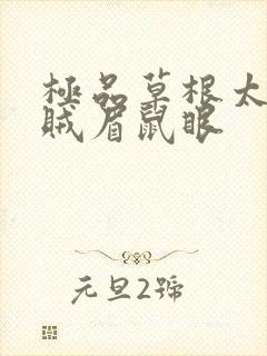 极品草根太子 贼眉鼠眼