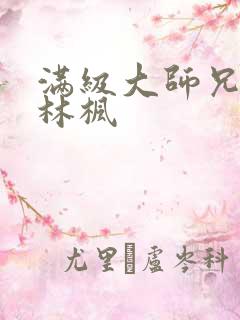满级大师兄小说林枫