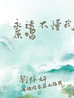 永远不懂我歌曲原唱