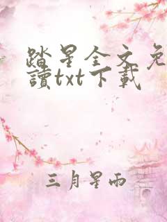 踏星全文免费阅读txt下载