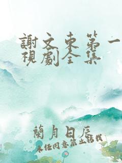 谢文东第一季电视剧全集