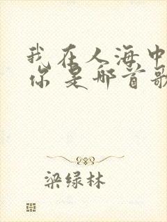 我在人海中遇见你 是哪首歌
